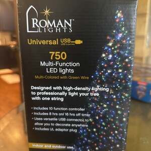 Roman Lights Indoor/Outdoor USB LED Light Set – Multicolor 750-Count